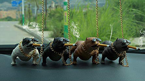 Car Interior Decoration Banned: अब कार के अंदर नहीं कर पाएंगे सजावट, जारी हुए नए दिशा-निर्देश