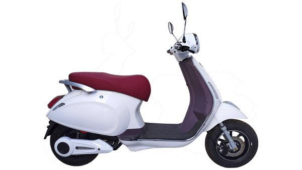 NIJ Launched 3 Electric Scooters: एनआईजे ने लॉन्च की अपनी 3 इलेक्ट्रिक स्कूटर्स की रेंज, जानें फीचर्स