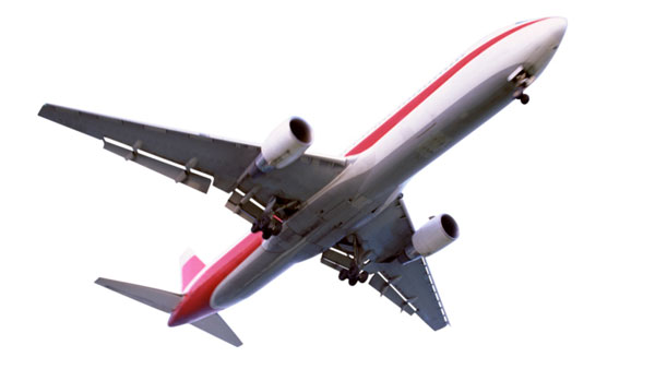 Air India की फ्लाइट में दुबई तक अकेले गया यह यात्री, कहा ‘महाराजा’ की तरह सफर किया