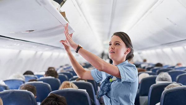 रोडवेज बसों की तरह क्या Airplanes के Flight Attendants भी मुफ्त में यात्रा करते हैं? जानिए यहां