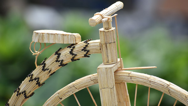 आर्टिस्ट ने माचिस की तिल्लियों से बना दी साइकिल, लोगों को दे रहे साइकिलिंग की प्रेरणा