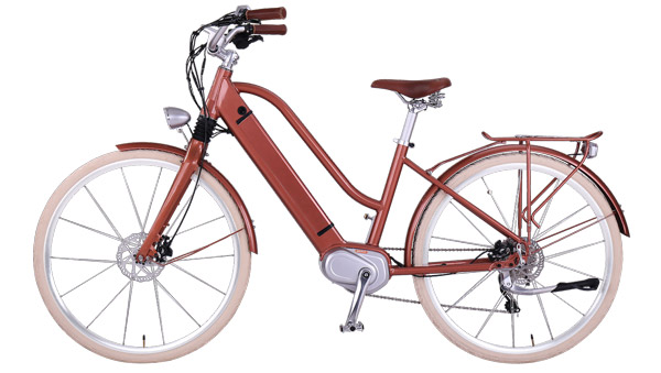 इलेक्ट्रिक वाहनों का लगातार बढ़ रहा है ट्रेंड, अब TVS Motor ने इस कंपनी में किया बड़ा निवेश