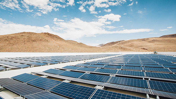 Tesla चीन में दूसरी कार फैक्टरी खोलने की कर रही है तैयारी, भारत में फंसा पेंच