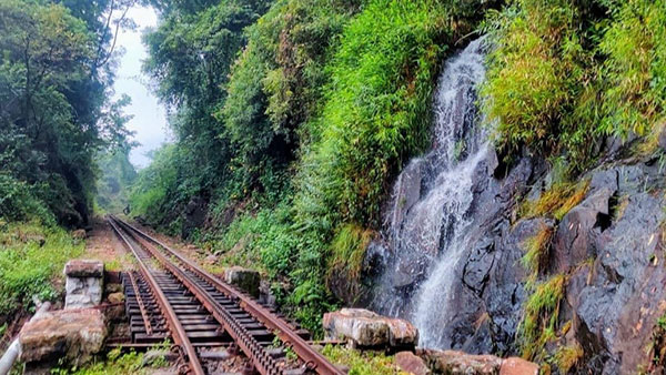 ऊटी की यह टॉय ट्रेन है ऐतिहासिक धरोहर, क्या आप जानते हैं कब हुई थी इसकी शुरुआत