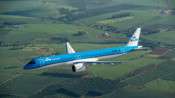 पक्षियों को विमान में टकराने से रोकेगा एआई आधरित लेजर सिस्टम, चीन के वैज्ञानिकों ने तैयार किया नया डिवाइस