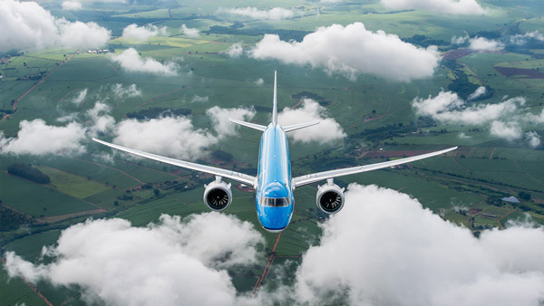 पक्षियों को विमान में टकराने से रोकेगा एआई आधरित लेजर सिस्टम, चीन के वैज्ञानिकों ने तैयार किया नया डिवाइस