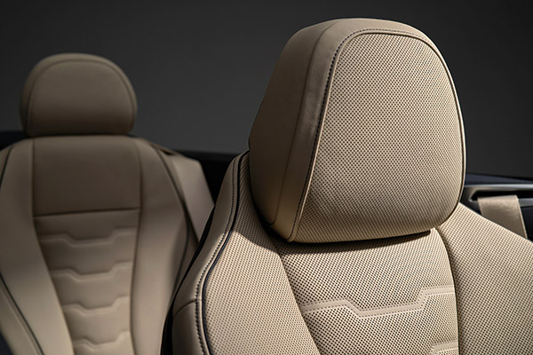 सिर्फ आराम के लिए नहीं, कार में इसलिए होते हैं एडजस्टेबल हेडरेस्ट