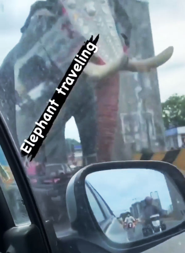 ‘बड़े हाथी’ ने की ‘छोटे हाथी’ की सवारी, खतरे में पड़ी लोगों की जान; इंटरनेट पर वायरल हुआ वीडियो