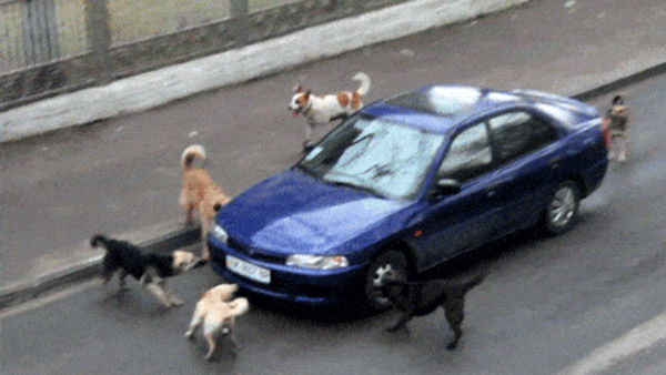 1. दुर्घटना