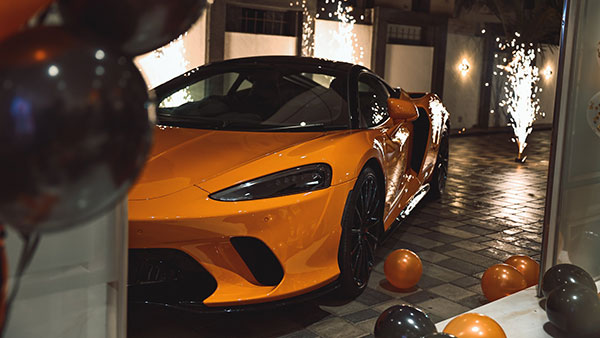 कार्तिक आर्यन की मैक्लारेन जीटी पर चढ़कर पेट डॉग कटोरी ने रोका रास्ता, जानें फिर क्या हुआ