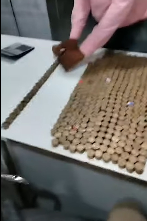 स्कूटर खरीदने के लिए 5,000 सिक्को में किया 50,000 रुपये का पेमेंट, सिक्के गिनने का वीडियो हुआ वायरल