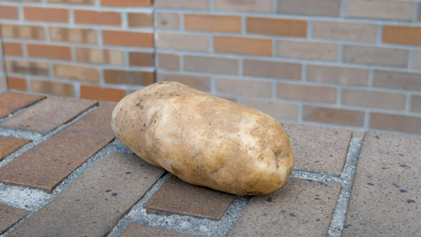 कार के शीशे में जम जाते है फॉग तो ये सब्जी है इसका इलाज