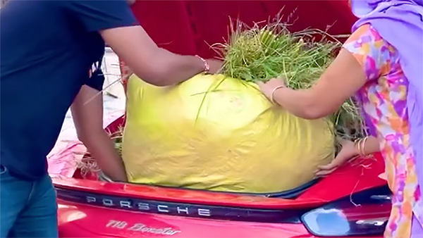 Farmer Carries Produce in Porsche