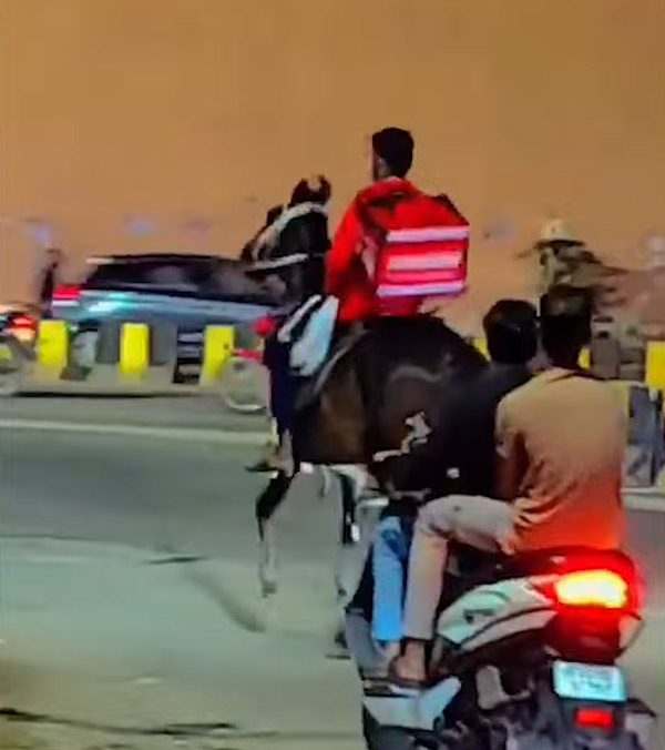 Zomato Delivery Boy Turns to Horse