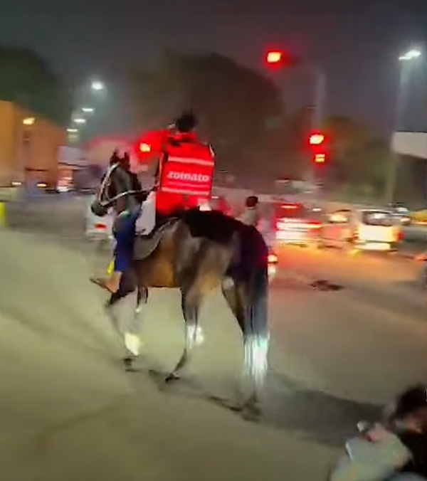 Zomato Delivery Boy Turns to Horse