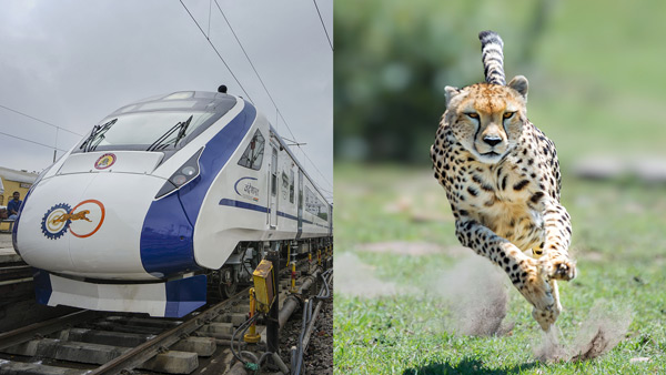 Vande Bharat Express Vs Cheetah