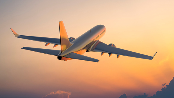 Coconuts Are Banned on Flights