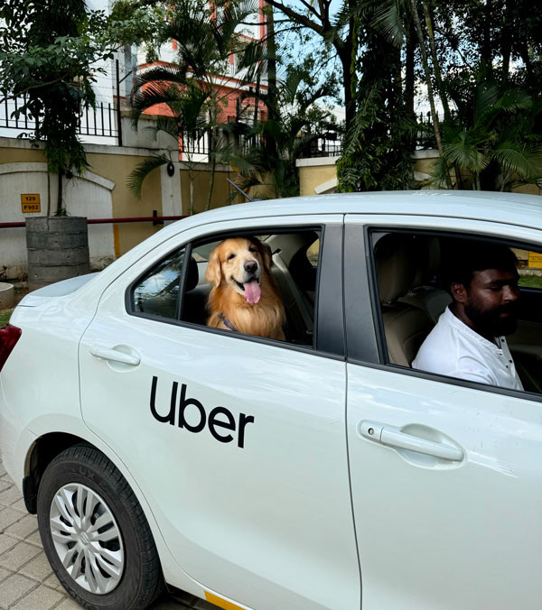 Uber Pet launches in Bangalore Uber Pet launches in Bangalore