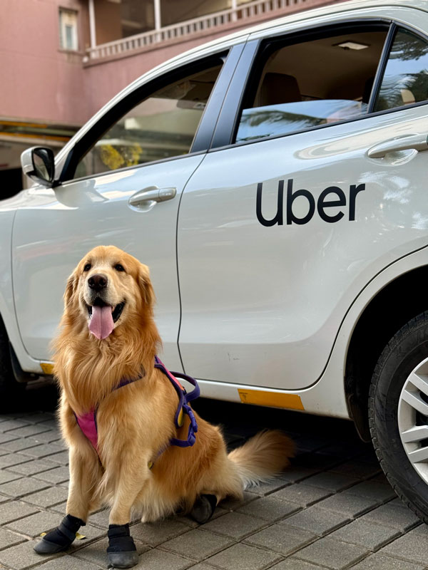 Uber Pet launches in Bangalore Uber Pet launches in Bangalore