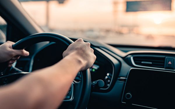 International Driving License