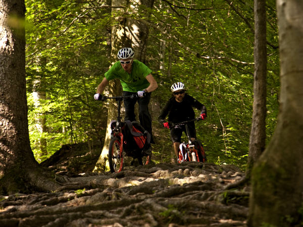 Bergmoench Backpack Bike Bergmoench Backpack Bike