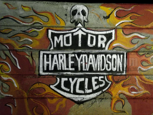 Harley Davidson Rock Riders