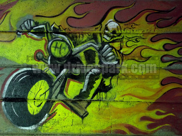 Harley Davidson Rock Riders