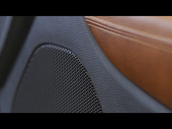 Front Passenger Door Speaker