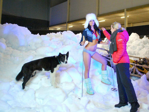 For Those Who Love Modified Cars