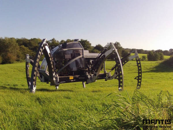 Mantis Hexapod Walking Robot