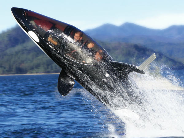 Killer Whale Submarine