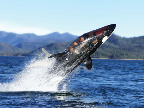 Killer Whale Submarine