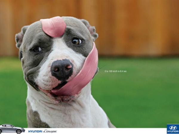 Interesting Automobile Print Ads