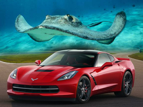 2014 Chevrolet Corvette Stingray