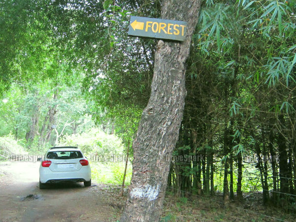 On The Road ~ On The Road ~