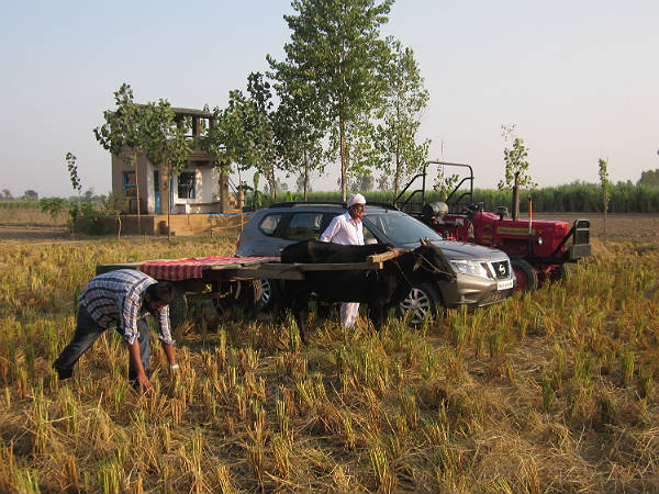 Nissan Terrano Son Of The Soil Experience: From Punjabi To Pahari