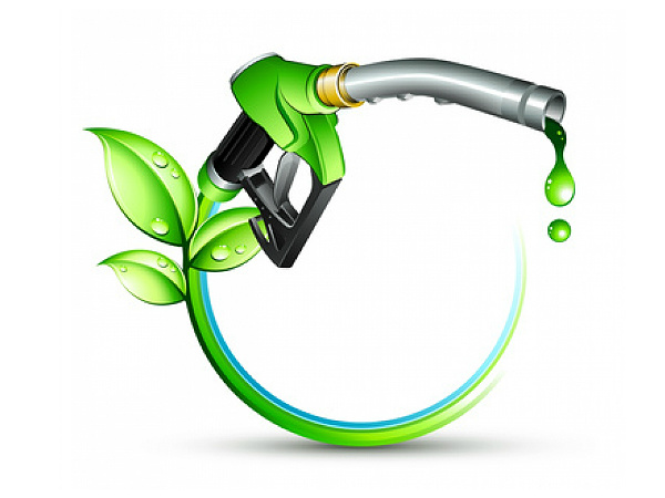 5. What is biodiesel?