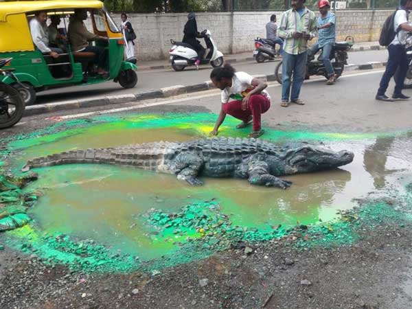 bengaluru crocodile