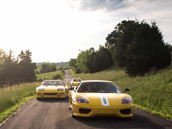 collector owns 40 yellow ferraris