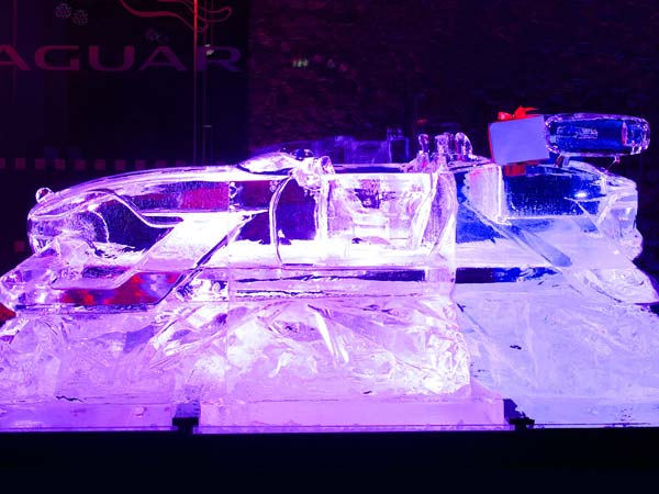 jaguar f sleigh side design