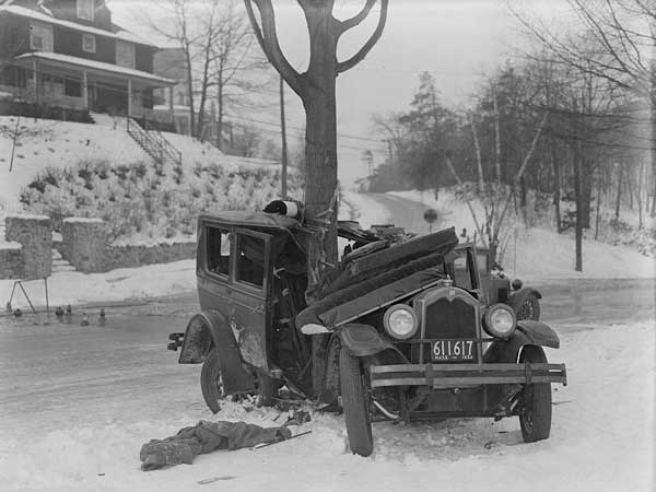 Car Around The Tree!