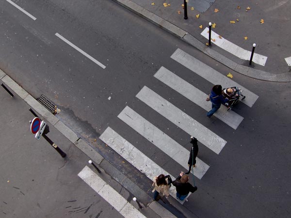 Zebra Crossing & Stop Sign Zebra Crossing & Stop Sign
