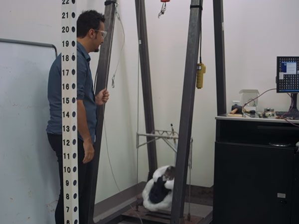 Here’s An Interesting Idea — Airbag Helmets For Bikers