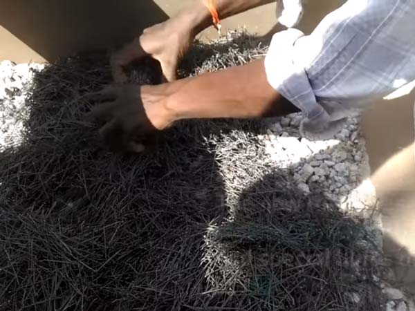 Indian-Origin Canadian Professor Invents Road That Self-Repairs In Karnataka