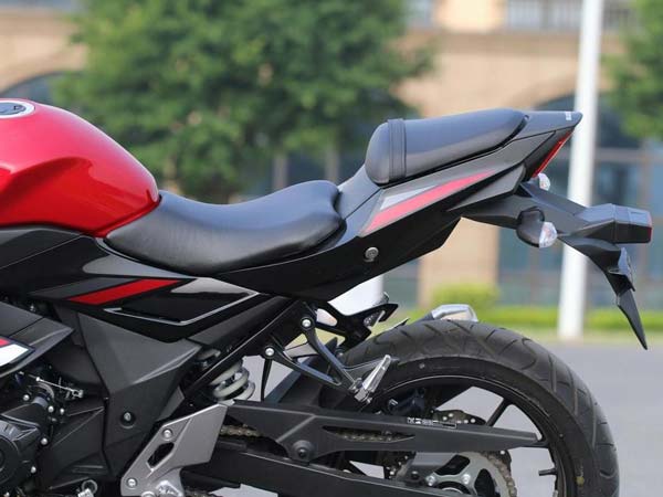 Suzuki Unveils Its Quarter Litre Sportsbike, The GSX-250R