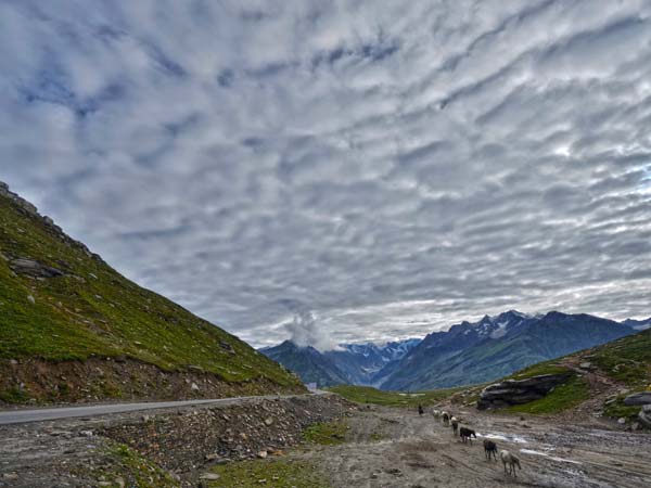 Rohtang Witnesses Its First Trial Of Electric Buses