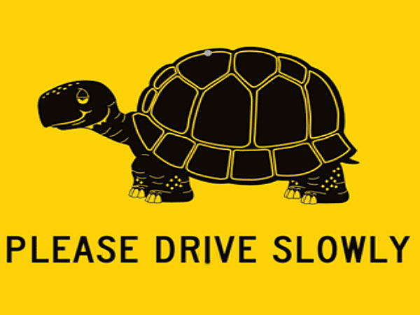 3. Drive Slow