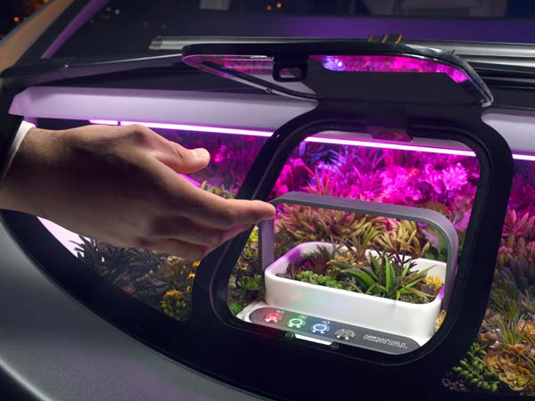 Rinspeed Oasis Concept Revealed; Will Be Showcased At CES 2017