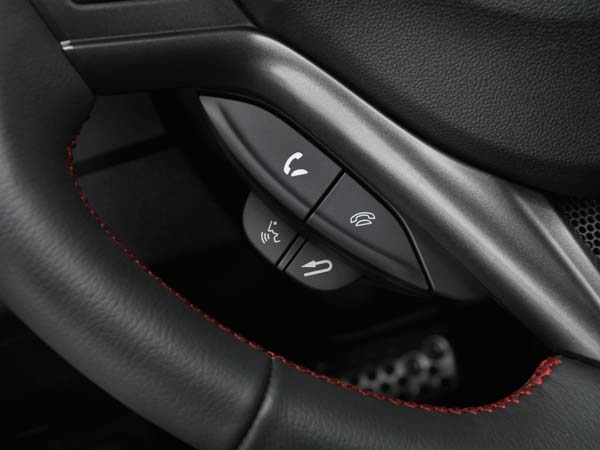 Steering Wheel Controls