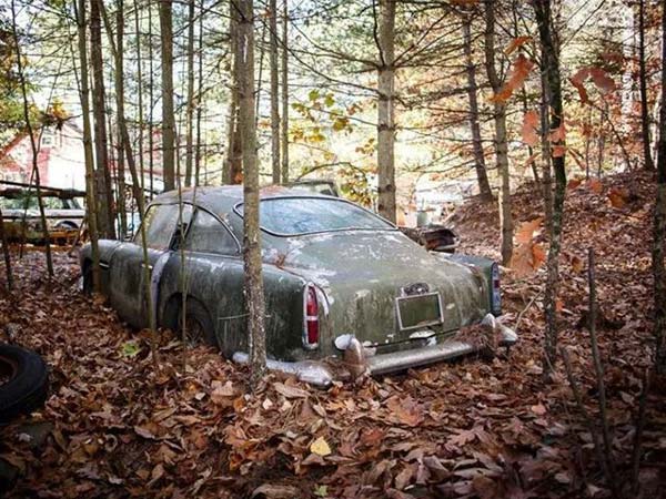 After Rotting In The Forest For Nearly 50 Years, A Classic Aston Martin DB4 Heads To The Auction